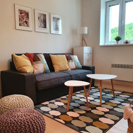 Apartmány Břachovna Mikulov v Krusnych Horach Esterno foto