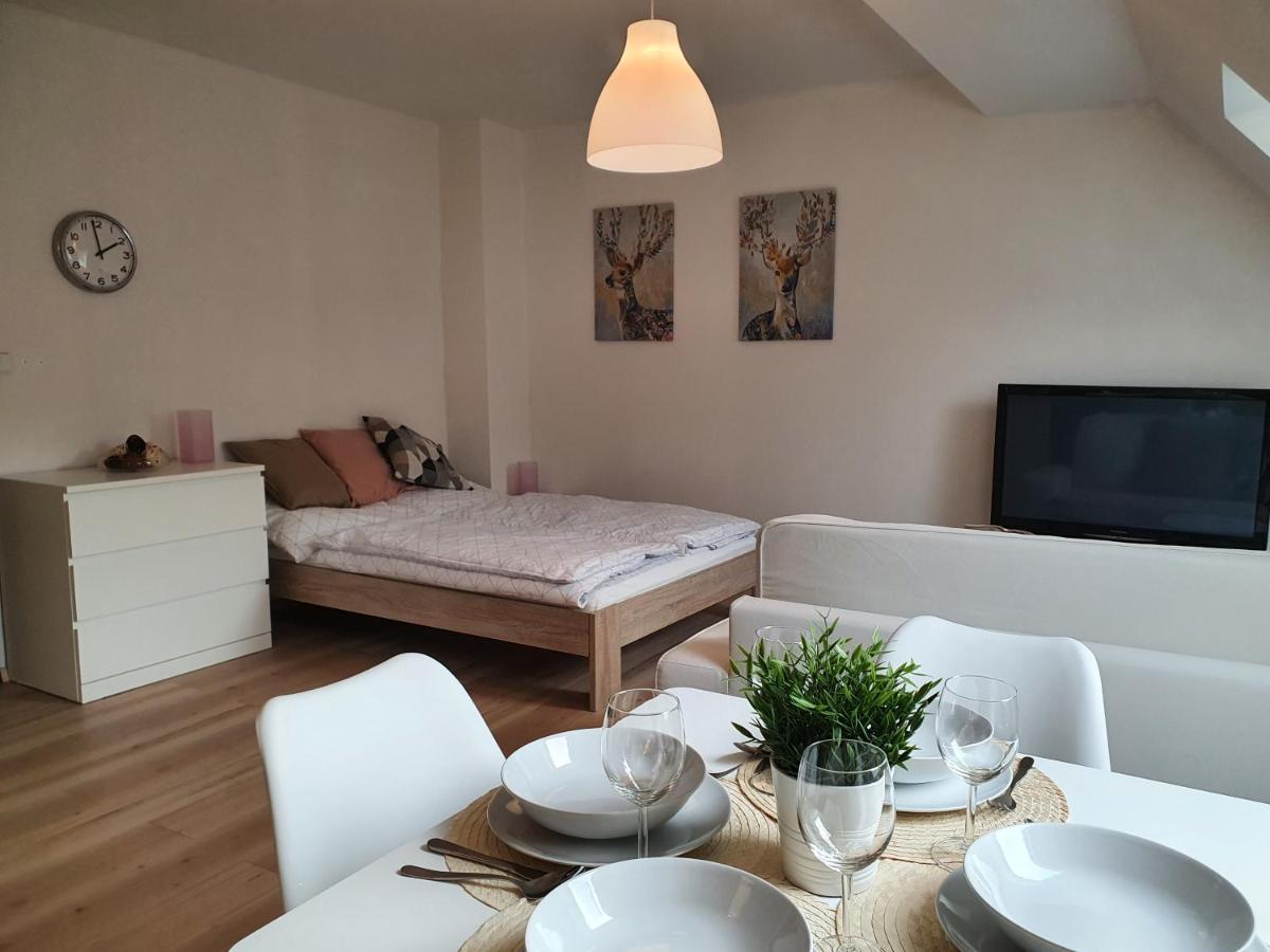 Apartmány Břachovna Mikulov v Krusnych Horach Esterno foto