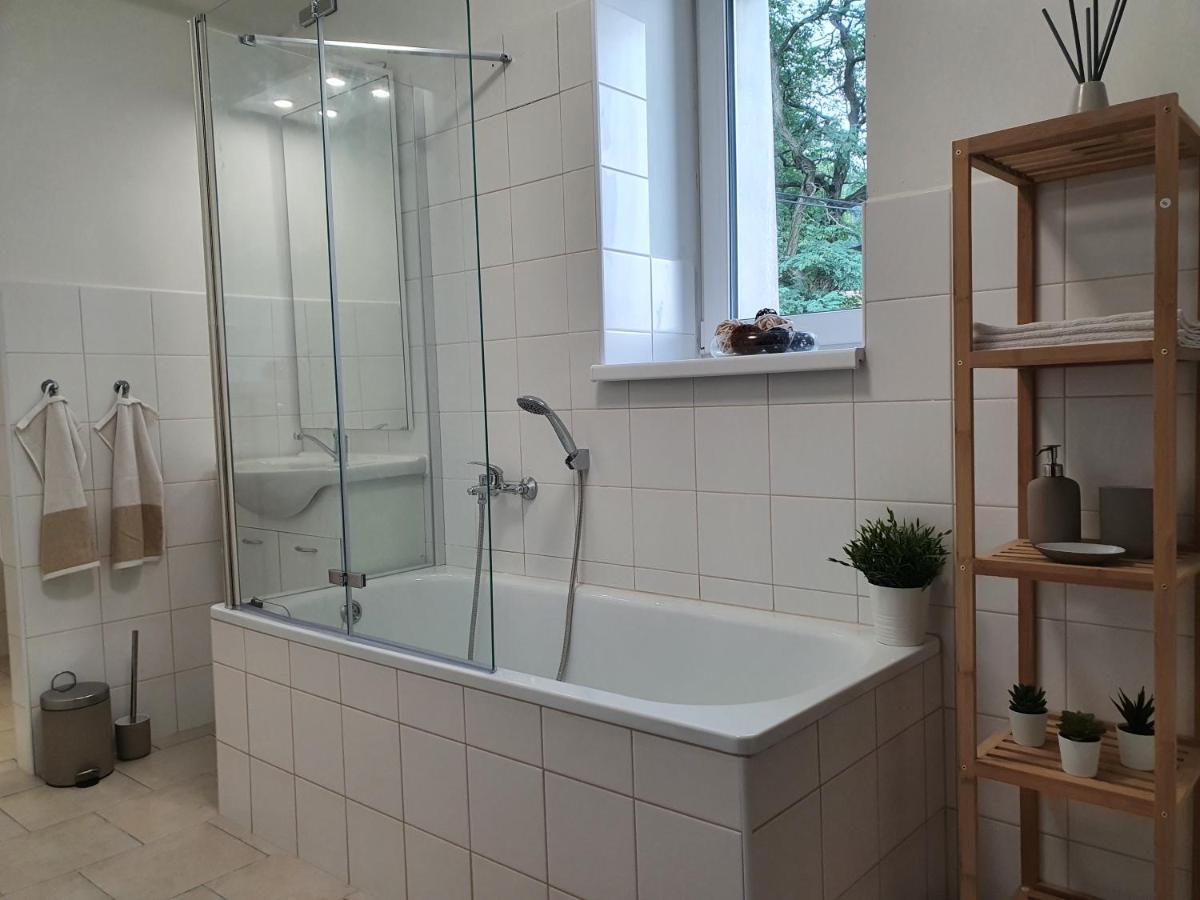 Apartmány Břachovna Mikulov v Krusnych Horach Esterno foto