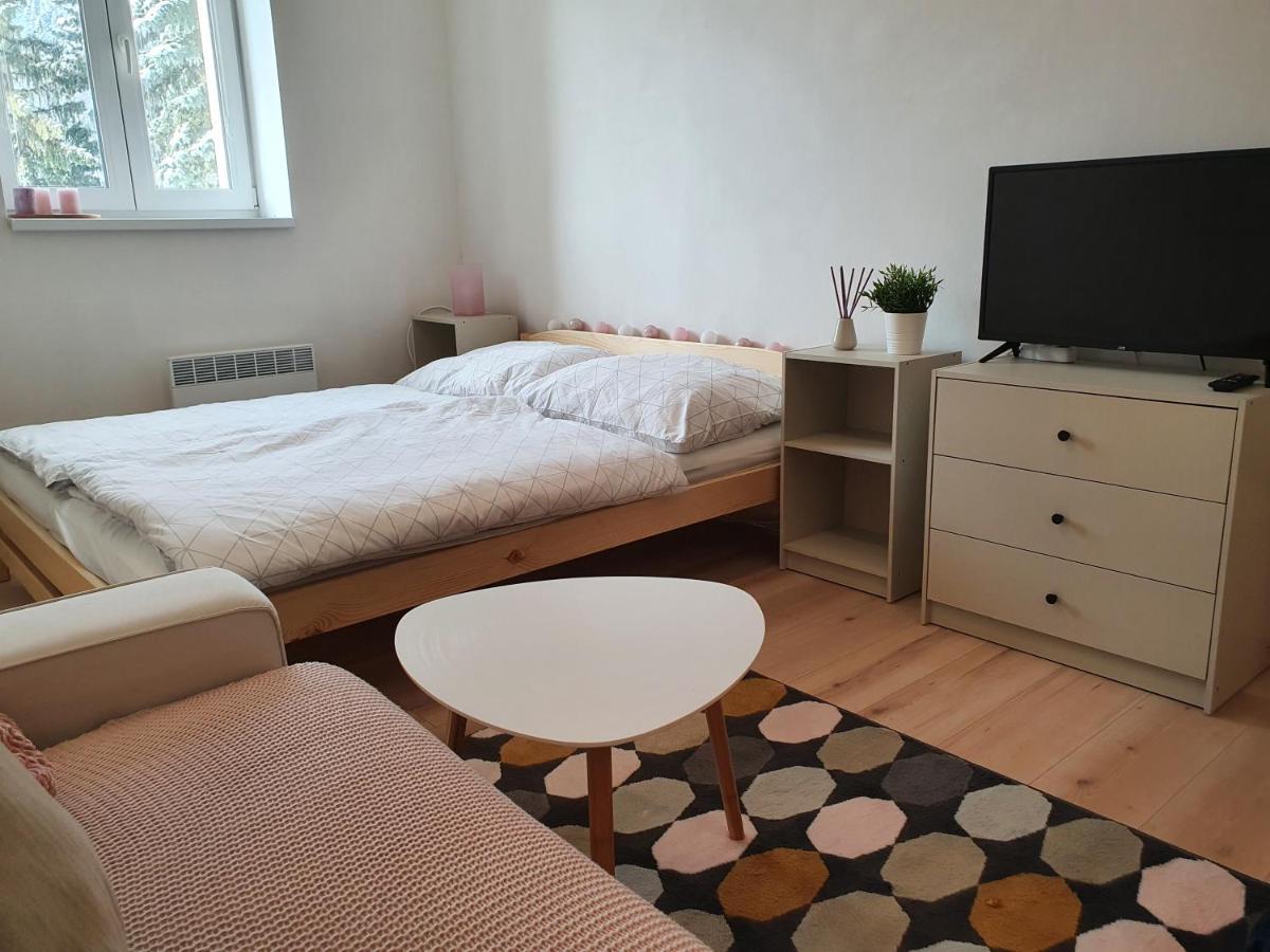 Apartmány Břachovna Mikulov v Krusnych Horach Esterno foto