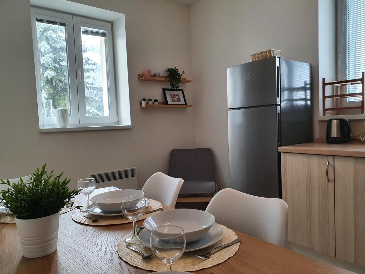 Apartmány Břachovna Mikulov v Krusnych Horach Esterno foto