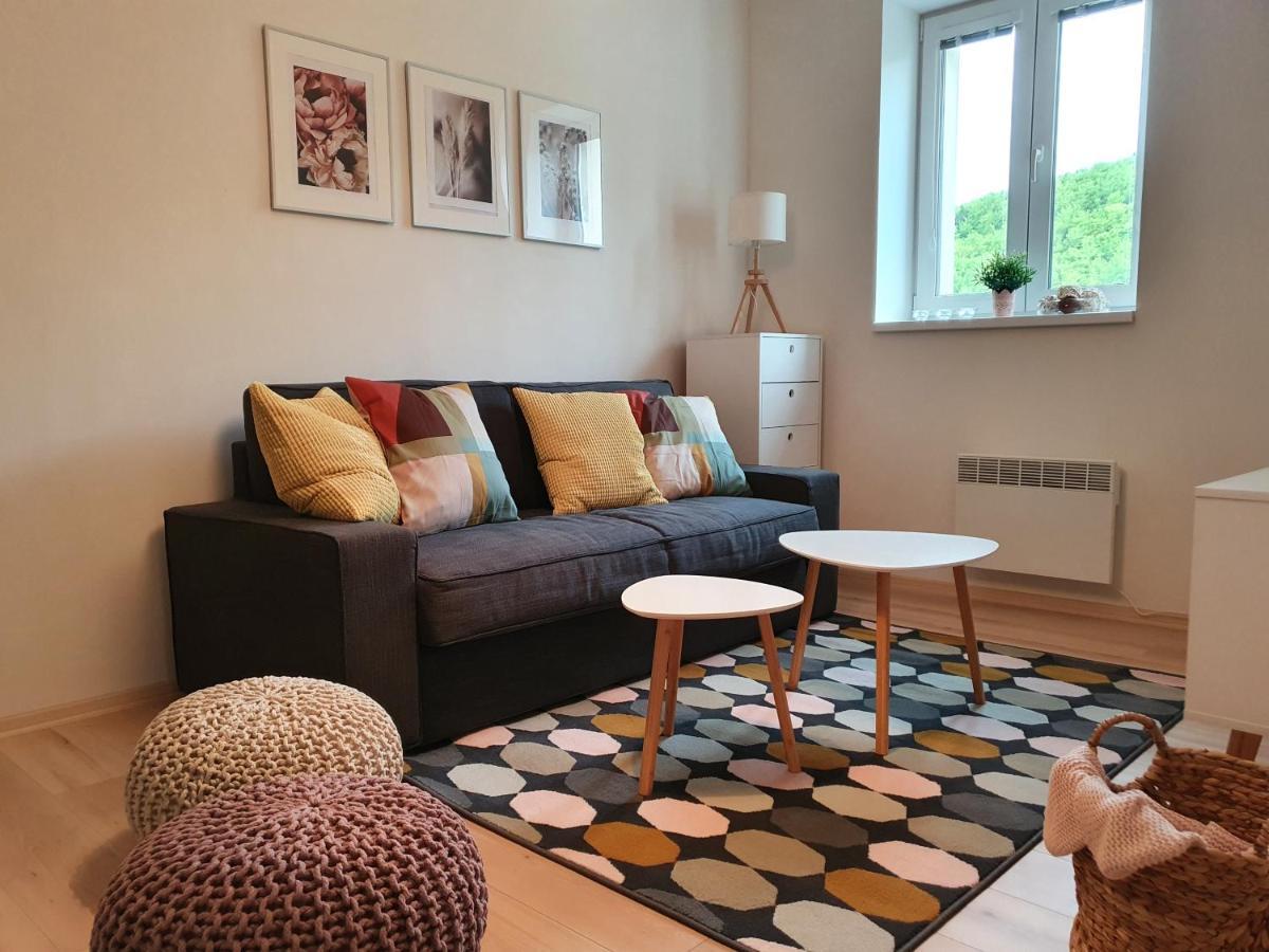 Apartmány Břachovna Mikulov v Krusnych Horach Esterno foto