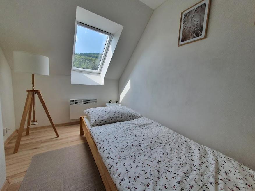 Apartmány Břachovna Mikulov v Krusnych Horach Esterno foto